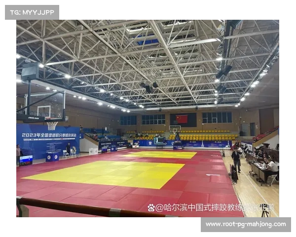 中国式摔跤市场化进程缓慢 商业赞助远逊柔道面临严峻挑战